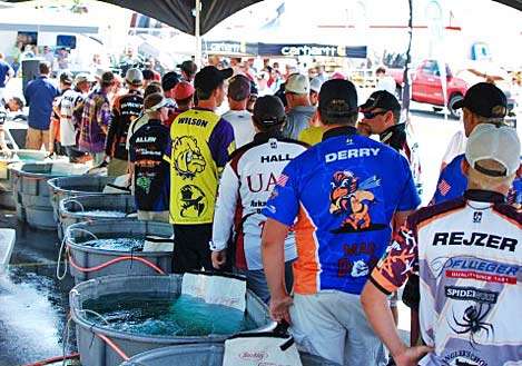 College anglers wait in line to have their bags weighed. After Oklahoma State weighed in, there was an audible groan from several other teams.
