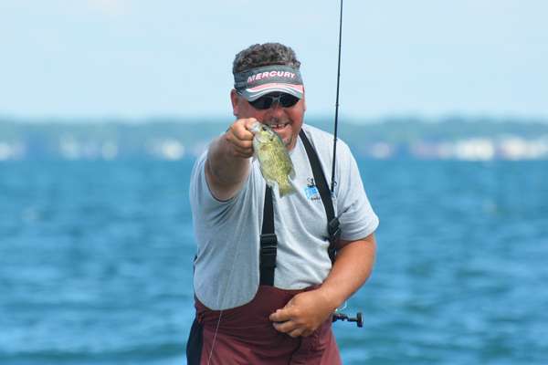 <p>
	Anglers caught plenty of rock bass, or redeyes.</p>

