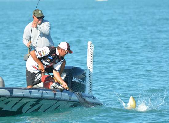 <p>
	Simpson likely has a 13-plus-pound 3-fish co-angler limit.</p>
