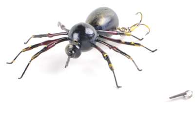 <p>
	<strong>BASSNIP Black Spider</strong></p>
<p>
	BASSNIP's hand-made lures will be available this fall. This is modeled after a black spider.</p>
