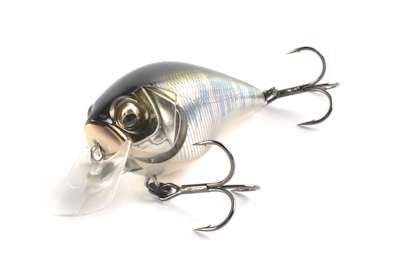 <p>
	<strong>Megabass Knuckle 60</strong></p>
<p>
	Following the adjustable lip vein, the Knuckle 60 can be a wake bait (with the lip vertical) or a standard square bill (lip angled). It can be put in three positions.</p>
