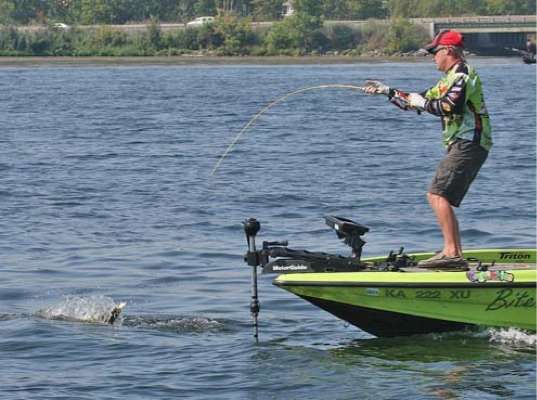 <p>
	 </p>
<p>
	.. This one a smallmouth that hit his topwater.</p>
