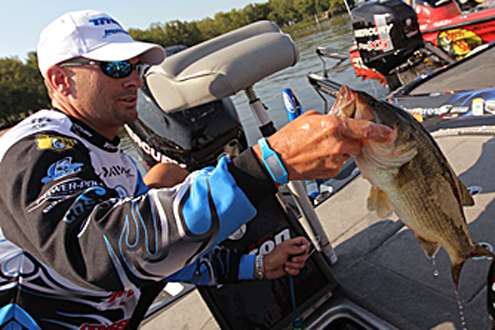 <p>
	Randy Howell bags his catch.</p>
