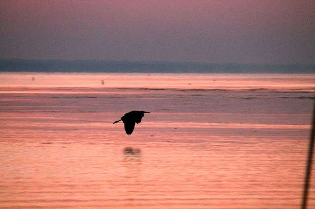 <p>
	The moment before dawn, Oneida Lake.</p>
