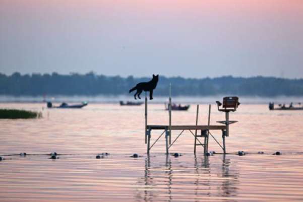 <p>
	 </p>
<p>
	An old lifeguard post stands in the foreground as the Elite anglers cruise in the background.</p>
