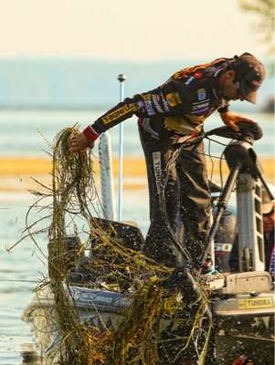 <p>
	Before he could move, Iaconelli had to clear his trolling motor prop of weeds. </p>

