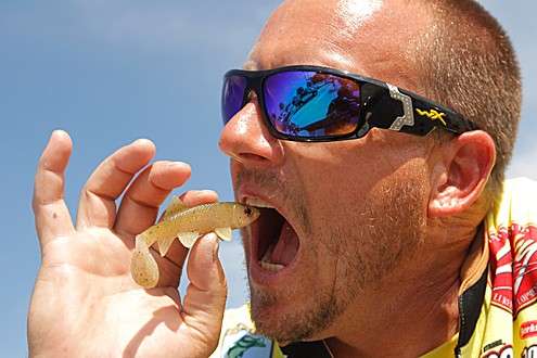 <p>
	<strong>TOYOTA TRUCKS ALL-STAR FAN FAVORITE </strong></p>
<p>
	<strong>3rd place: </strong>Skeet Reese with 18,377 votes.</p>
<p>
	Thanks to his fans, Skeet Reese will compete in Toyota Trucks All-Star week.</p>
