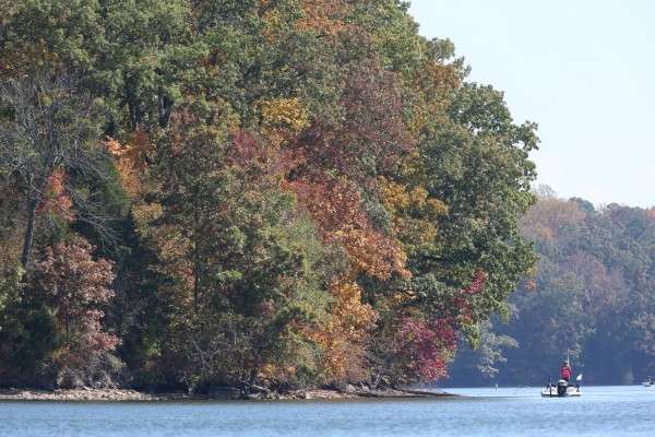 <p>Fall finally arrives in Alabama. Hopefully the anglers aren't spending too much time gazing at the leaves.</p>
