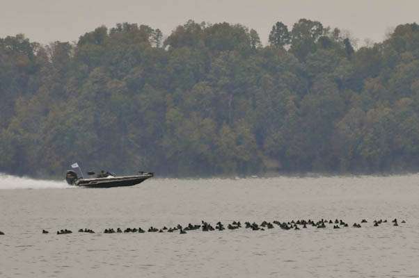 <p>JWC competitors race across Wilson Lake, looking for a hot spot.</p>