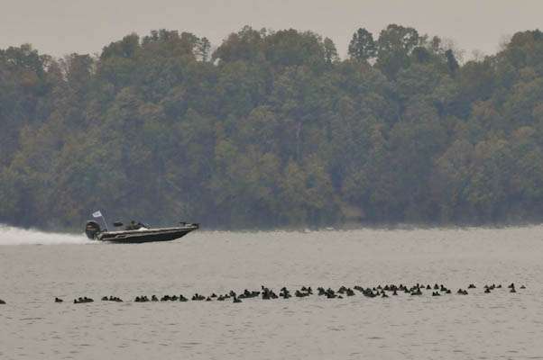 <p>JWC competitors race across Wilson Lake, looking for a hot spot.</p>
