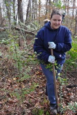 <p>Jennifer Dome digs in to get the privet out from the roots.</p>
