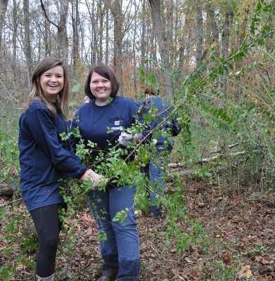<p>Helen Northcutt and Emily Hand carry freshly pulled privet plants to the discard pile.</p>
