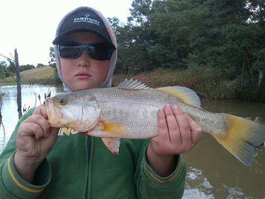 <p>
	âMy son, Bertus, caught this 2.8-pounder at Wriggleswade Eastern Cape in South Africa,â said Martin Ferreira. Bertus is 9 years old.</p>
