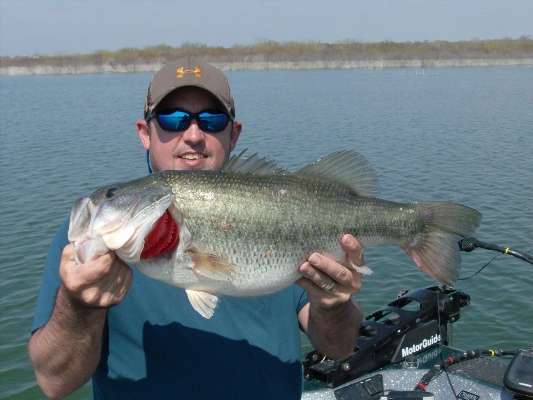 <p>
	Shane Yelverton said his bass weighed 12 1/2 pounds. He caught it in Texas' Falcon Lake in February 2010. "You don't need a guided trip for a bass like that," commented B.A.S.S. Facebook fan Rogelio Garza. "I catch them every trip to Falcon!"</p>
