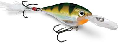<p> </p>
<p><strong>2. Rapala X-Rap Shad</strong></p>
<p>"This bait is like a jerkbait/crankbait hybrid. It suspends and I can cast it a really long distance. I like the size 6 model because it matches so many types of forage at this time of year. Either give it a straight retrieve, or work it like a jerkbait. I try to let the fish tell me which they prefer."</p>

