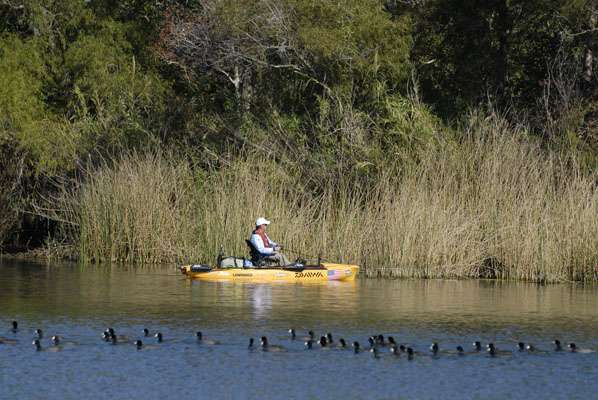 <p>BIRDS EYE VIEW: Rob Milam works the edge of the reeds along the shores of Fayette Lake in Texas.</p>
