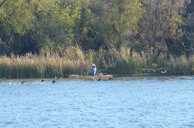 <p>OUTTA MY WAY: American angler Brad Kirn scatters the ducks.</p>

