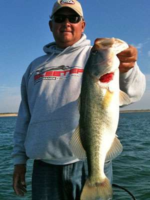 <p>Kurt Dove guides during the off-season on Lake Amistad, catching pigs like this one.</p>
