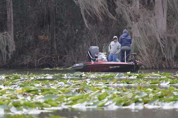 <p> </p> <p>Lily pads are a good indication that youâre in the right place when fishing the spawn in Florida. Pads indicate hard bottom, which is key for bass to make beds. </p> 