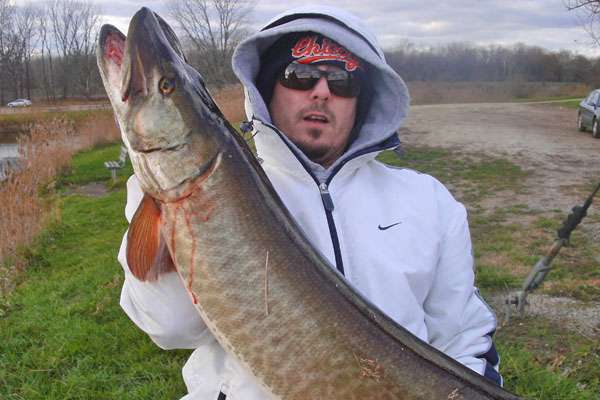 <p>This 47-incher was Jared Gibbsâ best musky of 2012. He caught it from shore at Banner Marsh in Illinois.<br />
	<br />
	 </p>
