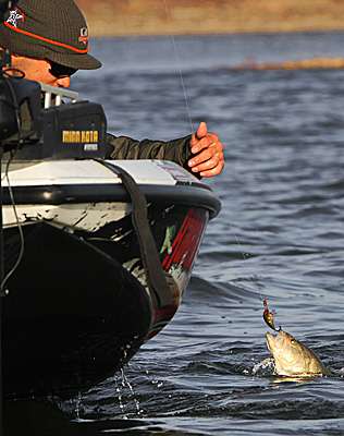 <p>Better grab it quick because that crankbait is barely in the lip.</p>
