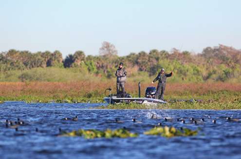 <p>Coots froth the water in the area Aaron Martens was fishing.</p>
