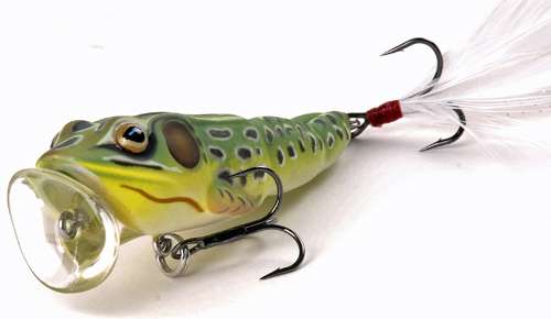 <p><strong>4. Koppers Live Target Popper Frog</strong></p>
<p> </p>
<p>Another of my favorites is the Live Target Popper Frog really does a nice job of making that big bubble and that popping sound that triggers a lot of bites. I like it more for open water like a round docks and isolated cover. </p>

