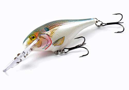 <p><strong>Rapala Shad Rap</strong></p>
<p>This is THE coldwater crankbait. Its subtle action and small size make it the perfect bait for chilly water. However, if the water on Grand is stained during the Classic, anglers will need to opt for a flashier alternative. Ott DeFoe used a Shad Rap in the 2012 Classic in a clear backwater on Louisiana's Red River.</p>
