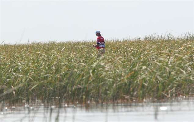 <p><strong>Marty Robinson - 30:1</strong></p>
<p>Robinson qualified for his first Classic a year ago, and seems to have found himself as a pro angler after several tough years. Like most of the qualifiers, he's getting help from talented locals who know Grand. They tell me he's sure to be in the top five. He finished 7th the last time the Elites were there, so his confidence should be sky high.</p>
