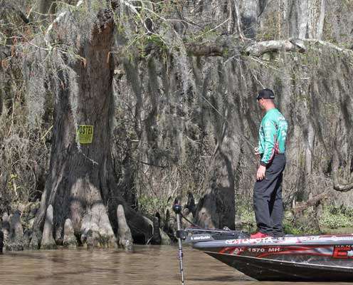 And like with this cypress tree Gerald Swindle is fishing, so is Spanish moss.