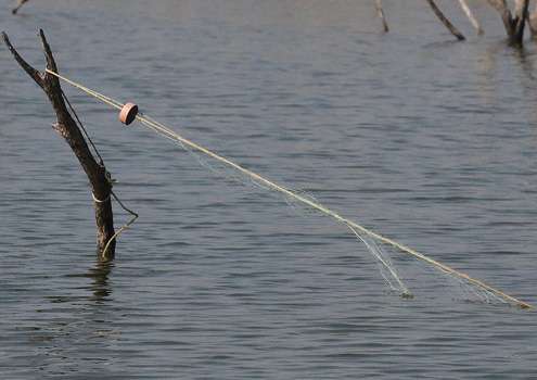 <p>A common sight around Falcon, especially on the Mexican side, are gill nets like this one.</p>
