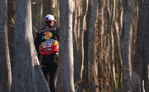 <p>VanDam moves deep into the cypress trees looking for a bite. </p>
