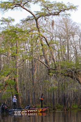 <p>There are some tall cypress trees in the area VanDam is fishing. </p>

