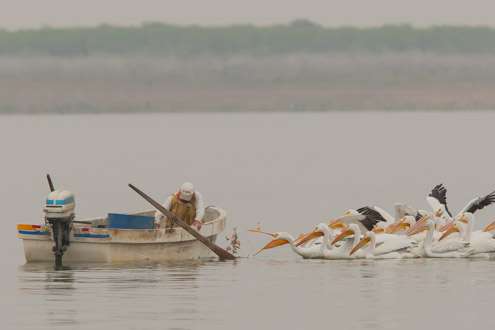 <p>A Mexican fisherman is cleaning out his net.  Its feeding time for the birds and they know it.</p>
