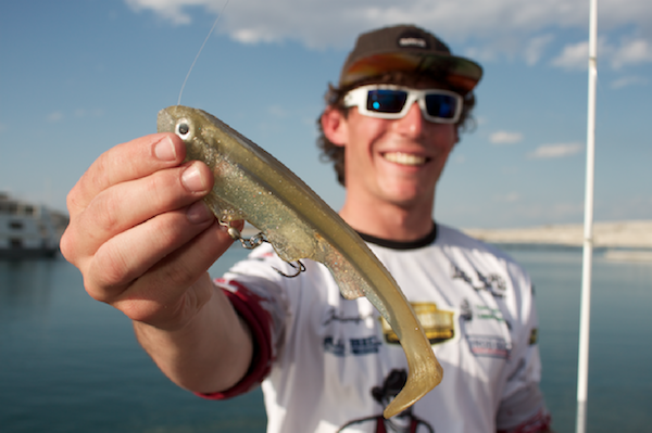 <p>Jesse Scarafiotti was slow rolling this swimbait in 25 feet of water when the biggest fish of his life took hold. </p>
