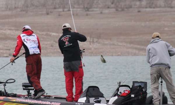 <p> </p>
<p>Small fish early for Texas Tech. </p>
