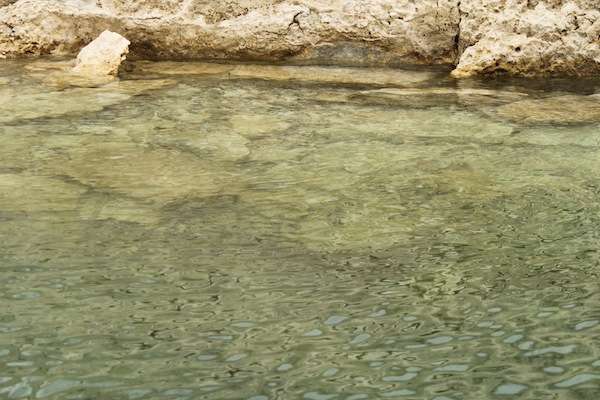 <p>Clear water on Amistad this week. </p>
