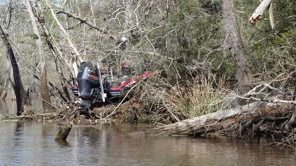 <p>Iaconelli apparently lost control of his boat and rode up the bank.</p> <p> </p> 