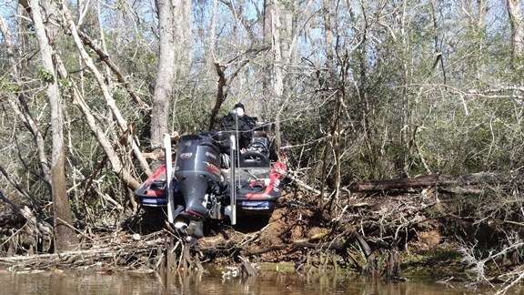 <p>Iaconelli was literally stuck <em>on</em> the bank.</p> 