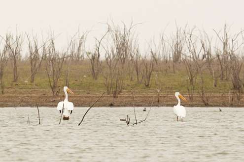 <p>Some of the wildlife kept the anglers company as they fished the waters.</p>
