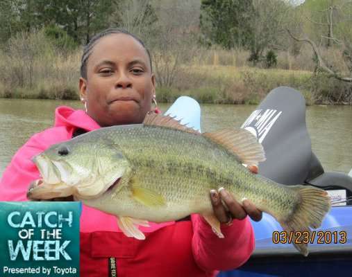 <p>Angie Freeman of Georgia is one of the winners of the Catch of the Week presented by Toyota contest! For her entry, she won a Shimano reel and some Toyota gear. What follows are photos of contest winners and some of the best other entries from March. You can enter your photo, too, by clicking <a href=