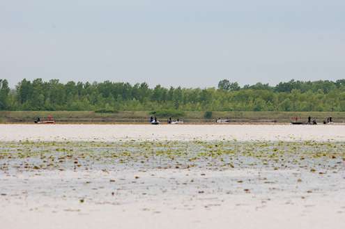 <p> </p> <p>A vast lily pad field attracted several boats early on Day Two. </p> 