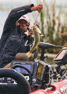 <p>Iaconelli has his eye on this one the entire way into the boat. </p> 