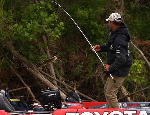<p> </p> <p>Mike Iaconelli boats his third keeper fish of the day. </p> 