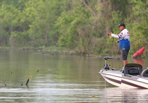 <p>Pedroza begins to flip isolated cover early on the final day of fishing on the Red River.</p> 