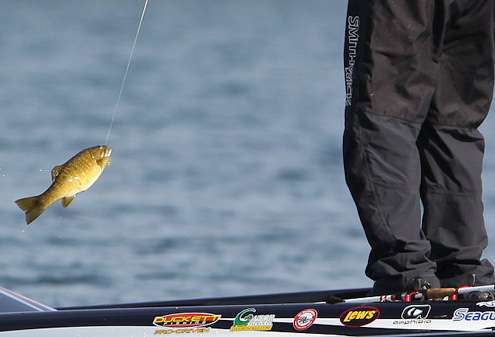 <p>Another smallmouth comes over the bow. </p>
