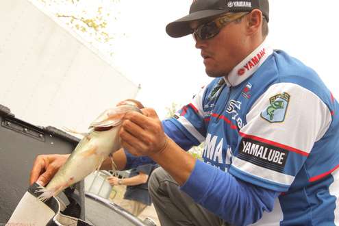 <p>Chris Zaldain bags up his fish for the weigh-in.</p>
