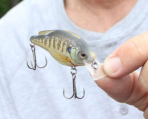 <p>A square-bill crankbait is a must around shallow cover if you want to entice big bites, especially when the active fish slow down and itâs time to create a reaction strike. This is a Live Target Bluegill square bill. In most small waters, bluegill are the primary forage so mimicking the colors and action of that fish is important.</p>
