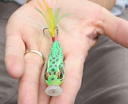 <p>A topwater plug is not only fun, but essential. It will allow you to make long casts and cover water that sometimes your boat canât get to. Again, colors that mimic bluegill and frogs are essential. Browning likes the Live Target Popper Frog because it can be walked like a stick bait or paused and popped over cover.</p>
