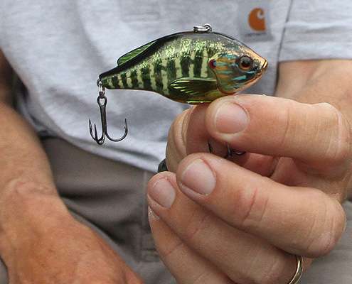 <p>A lipless crankbait can produce strikes in wide open spaces, while allowing the angler to cover water. </p>
